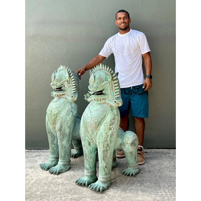Vintage Verdigris Bronze Temple Lions - A Pair For Sale - Image 16 of 17