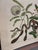 George Edwards Mark Catesby, the Small Rattle-Snake, Plate 42 - 18th C 'Vipera Caudisona Minor' For Sale - Image 4 of 9