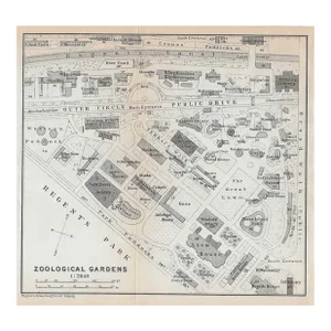 1911 Antique London Zoo Map