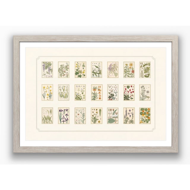 Atelier Aria Lumae Eugene Grasset Maurice Pillard Verneuil Art Nouveau Botanical Specimen Grid Board Print 60 X 40 For Sale - Image 14 of 17