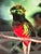 English Michael Fogden Signed “Resplendent Quetzal” Costa Rica Wildlife Photograph, 11” × 14” Matted For Sale - Image 3 of 11