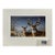 Larry Zach 1997 Iowa Habitat Deer Limited Edition Print and Stamp W/Coa For Sale