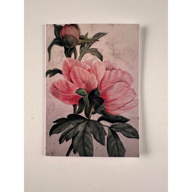 2020s This Is a Set of 6 Botanical Folded Note Cards Printed From My Pastel Drawings of Plants and Flowers For Sale - Image 5 of 10