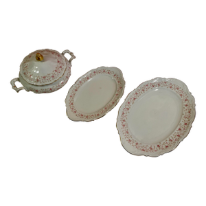 Vintage Mitterteich Bavaria China in Lady Claire - 2 Platters & 1 Covered Dish