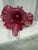 Glass Vintage MCM Fenton Cranberry Pulpit Fern Opalescent Tulip Vase For Sale - Image 7 of 7