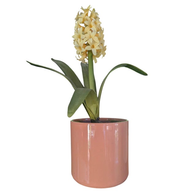 Postmodern Minimalist Peachy Pink Ceramic Cylinder Planter For Sale In Charlotte - Image 6 of 6