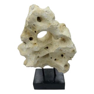 Indonesian Coral Stone On Teak Stand For Sale