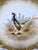 Antique French Limoges Game Bird Cabinet Plates - Coiffe & Cie, Pair For Sale - Image 17 of 18