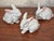 Vintage Trio of White Bunny Rabbits For Sale - Image 6 of 9