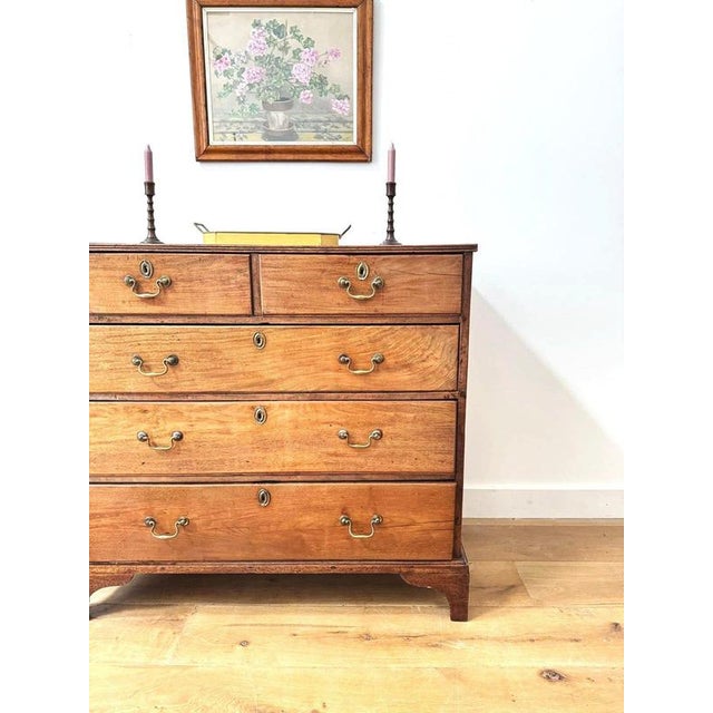 Georgian Fruitwood Chest of Drawers For Sale - Image 4 of 11