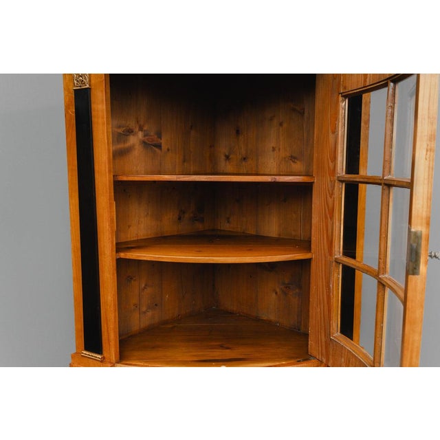 19th Century Biedermeier Corner Display Cabinet For Sale - Image 14 of 18
