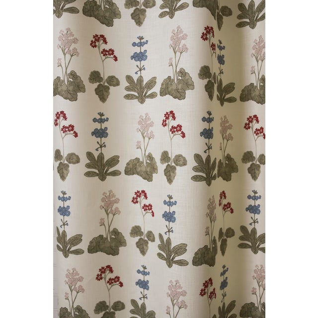 Primula was inspired by a series of Victorian botanical illustrations studying the many unique forms of the Primula plant...