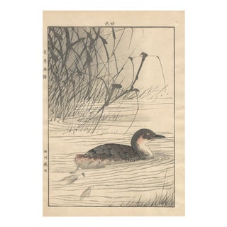 Imao Keinen, Little Grebe, 1892, Print For Sale
