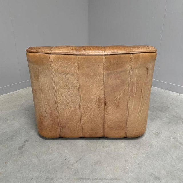 Vintage DS44 Lounge Chair from de Sede, 1970s For Sale - Image 13 of 15