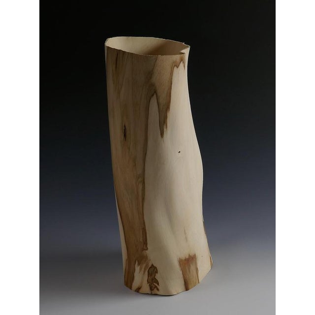 Through the Window Vase in Fig Tree Wood by Yann Marot For Sale - Image 4 of 10