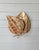 Floral Wall Sconce in Brass from Maison Jansen, France, 1970s For Sale - Image 11 of 11