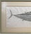 Modern 1990s Large Original Tom Uhl Gyotaku Fish Rubbing Bonita Islamorada Florida Keys For Sale - Image 3 of 10