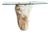 Andrianna Shamaris Petrified Wood Base and Glass Top Console Table For Sale