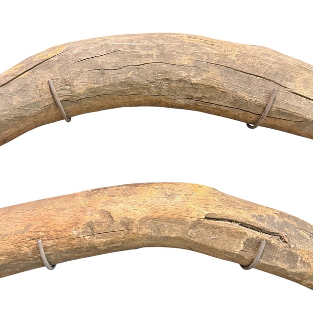 Collection of Eight 19th/Early 20th Century Hog Gambrels on Custom Wall Mounts For Sale - Image 11 of 14