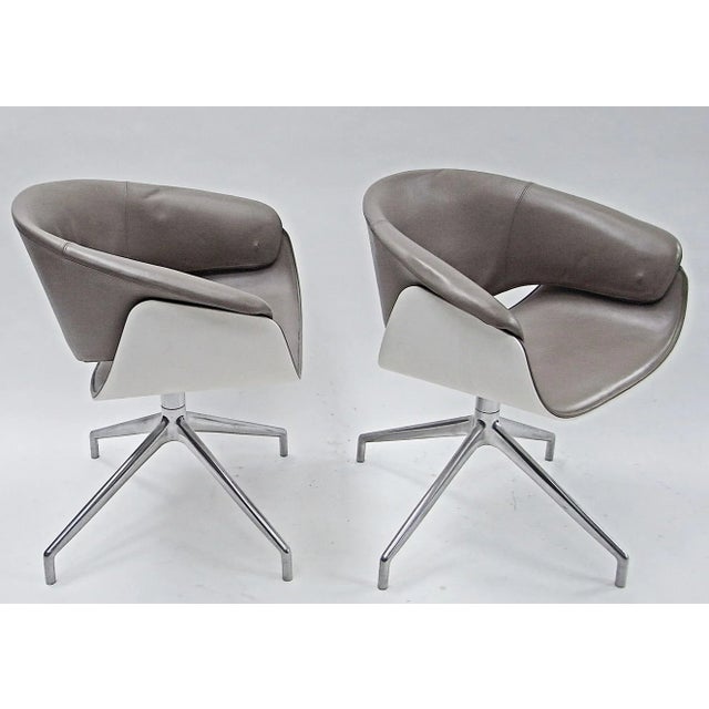 Animal Skin Sina Armchairs by Uwe Fischer for B&B Italia, 2004, Set of 2 For Sale - Image 7 of 16