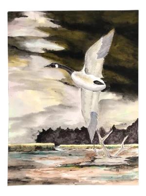Original Vintage Watercolor Painting Flying Goose 1980’s
