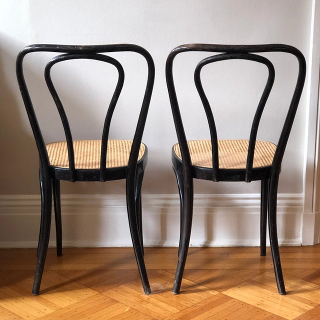 Early/Mid-20th Century Italian Bentwood Bistro Cafe Chairs — a Pair For Sale - Image 9 of 12