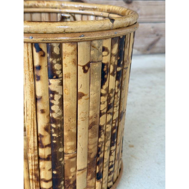 Vintage Coastal Tortoise Bamboo Wastebasket / Cachepot Planter For Sale - Image 4 of 9