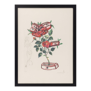 Salvador Dali "Rose (Drawers)" Etching, 1972