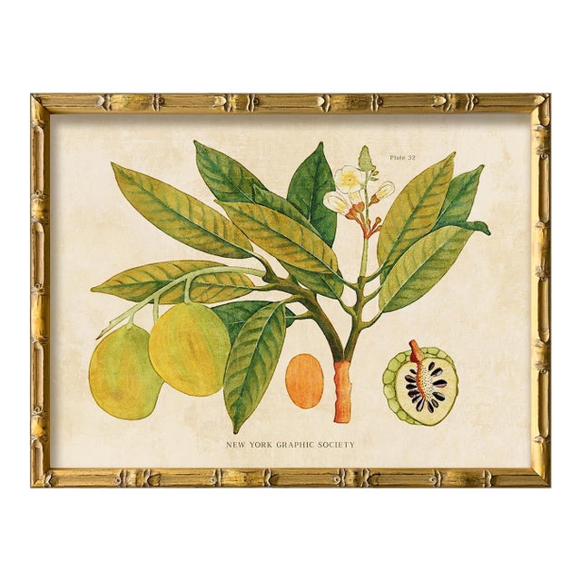 Reproduction Giclee Print of Vintage Fruit & Flowers (5) Art Print, Framed For Sale