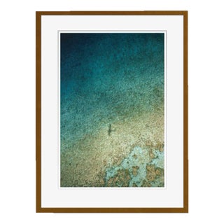 Toni Frisell, A Seaview in Nassau, 1960, C Print, Framed For Sale