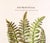 Original Vintage Custom Botanical Fern Reproduction Print with Makers Stamp For Sale - Image 17 of 18