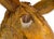 Brown Nick Bottom Papier-Mâché Sculpture From Shakespeare's a Midsummer Night's Dream For Sale - Image 8 of 10
