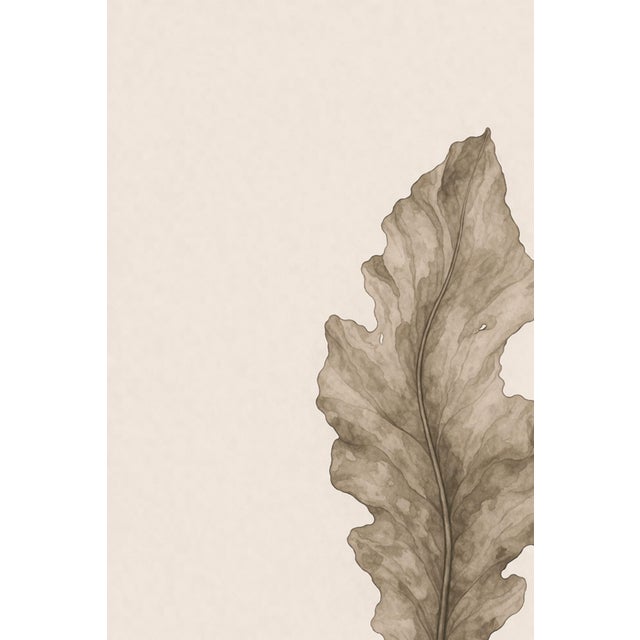 Coastal Seaweed Study Iii, Minimalist Botanical Art Print, 24" × 36" Reproduction For Sale In Buffalo - Image 6 of 10