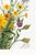 Vintage Wildflowers Study, Botanical Art Print Reproduction, 12" X 18" For Sale - Image 9 of 9