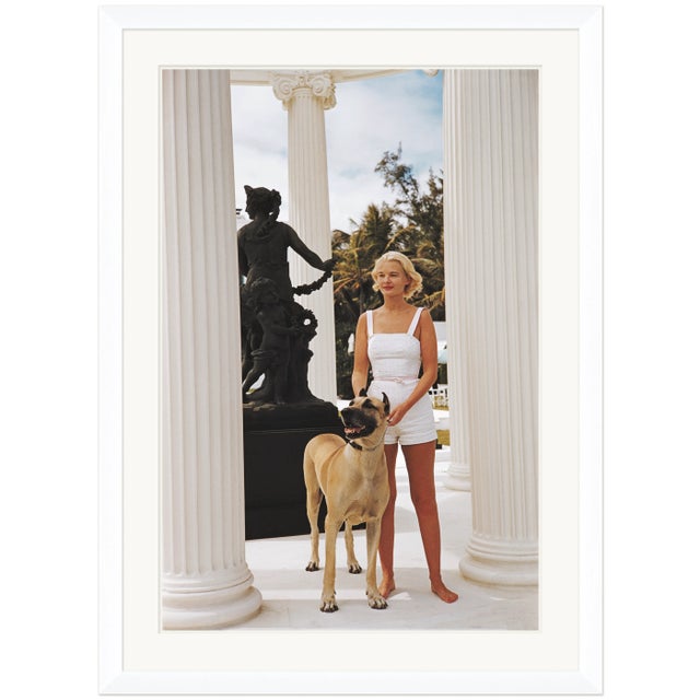 Contemporary Slim Aarons, "C.Z. Guest with her Great Dane," January 1,1955 Getty Images Gallery Framed Art Print For Sale - Image 3 of 3