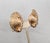 Mid-Century Modern Vintage 1950s Signed Napier Goldtone Ribbed Leaf With Curled Stem Clip Earrings-2 Pieces For Sale - Image 3 of 7
