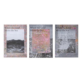 Damien Hirst, Where the Land Meets the Sea, 2023, Print, Set of 3 For Sale