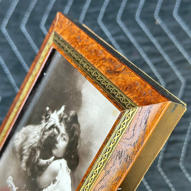 Early 20th Century Antique Chums Black & White Photo of Girl With Yorkshire Terrier in Custom Burl Wood and Brass Frame For Sale - Image 5 of 11