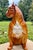 Italian Terracotta Boxer Dog Statue c.1960s For Sale - Image 9 of 17