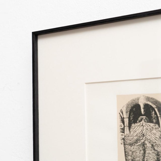 Joan Brossa, Visual Poem, 1980s, Lithograph, Framed For Sale - Image 10 of 12