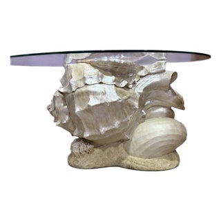 1970s Monumental Nautilus Seashell Side/Coffee Table For Sale