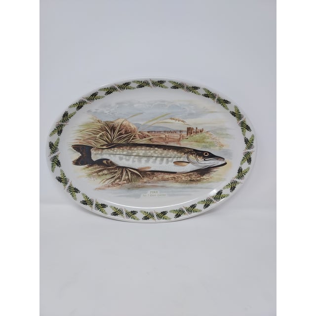 Vintage Portmeirion England The Compleat Angler British Fishes Series 13" x 9" Oval Plate No. 7 Pike Esox Lucius. Oven to...