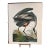 1964 Audubon Folio Lithograph Great Bird Paintings – “Great Blue Heron” 17x14 For Sale