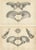 Marsh, Paleontology Illustrations of a Dinoceras Mirabile, 1886, Prints, Set of 2 For Sale