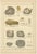 Antique Mineralogy Chromolithographs of Gold, Silver and Copper, 1888, Set of 3 For Sale - Image 3 of 9