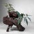 Antique Japanese Root Wood Ikebana Display, 1900s For Sale - Image 10 of 12