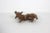 Wood Vintage Carved Water Buffalo Teak Wood Bull Sculpture For Sale - Image 7 of 7