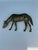 Brass Horse Figurine from Mid 20th Century . Animal Horse Head Down as if Grazing . Vintage Home or Office Decoration. Us...