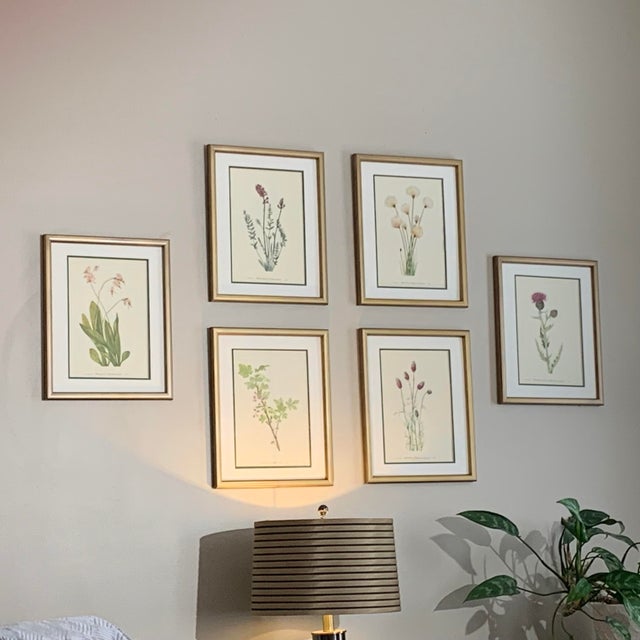 Framed Vintage Botanicals Set of 6 -Authentic Vintage 1969 Prints For Sale - Image 4 of 4