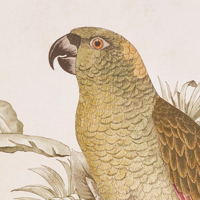 These tropical parrot prints with intricate backgrounds are a pop of color for any space from bedroom to foyer. In a...